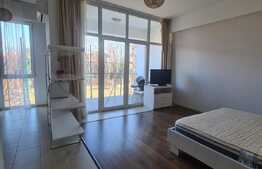 Studio de 45 mp, terasa, luminos, Pipera