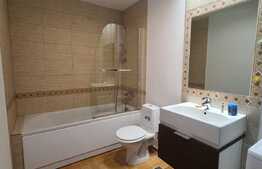 Studio de 45 mp, terasa, luminos, Pipera