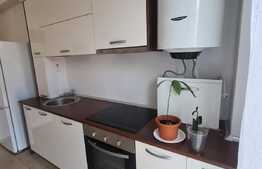 Studio de 45 mp, terasa, luminos, Pipera