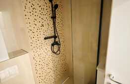 Penthouse 3 camere, 35 mp terasa, Stefan cel Mare!