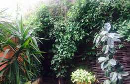 Apartament superb, 3 camere, 80 mp, curte 57 mp, Bucurestii Noi