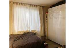 Apartament superb, 3 camere, 80 mp, curte 57 mp, Bucurestii Noi