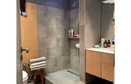 Apartament superb, 3 camere, 80 mp, curte 57 mp, Bucurestii Noi