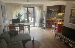 Apartament superb, 3 camere, 80 mp, curte 57 mp, Bucurestii Noi