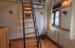 Apartament 3 camere în vilă, deosebit arhitectural, zona 1 Mai