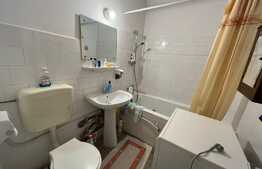 Apartament de 2 camere, 45 mp, investitie, zona parcul IOR 