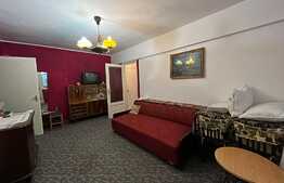 Apartament de 2 camere, 45 mp, investitie, zona parcul IOR 