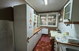 Apartament de 2 camere, 45 mp, investitie, zona parcul IOR 