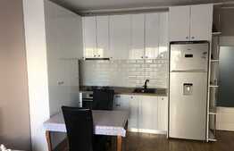 Apartament 3 camere cu gradina si terasa!