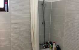 Apartament 3 camere cu gradina si terasa!