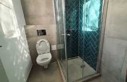 Apartament 3 camere, renovat, Gradina Icoanei