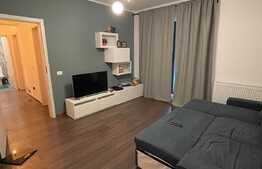 Apartament 2 camere, 50 mp, zona Grozavesti, Orhideea