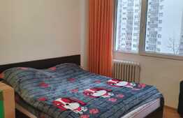 Apartament 2 camere, 48 mp, ingrijit, Lujerului