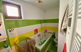 Apartament in vila interbelica, modern si luminos, Parcul Carol