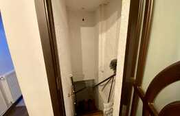 Apartament in vila interbelica, modern si luminos, Parcul Carol