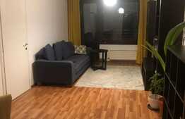 Apartament 2 camere, priveliste frumoasa, zona Titan, Parcul IOR
