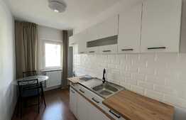 Garsonieră spațioasă, 40 mp, recent renovată, zona Decebal