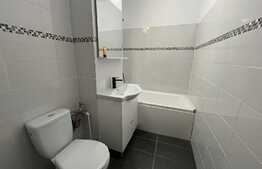 Garsonieră spațioasă, 40 mp, recent renovată, zona Decebal