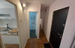 Garsonieră spațioasă, 40 mp, recent renovată, zona Decebal