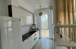 Garsoniera de 38 mp, la cheie, Voluntari