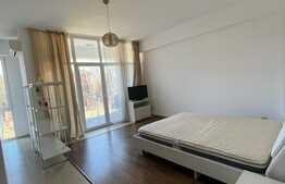 Garsoniera de 38 mp, la cheie, Voluntari