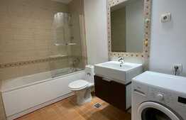 Garsoniera de 38 mp, la cheie, Voluntari