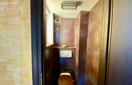 Apartament 3 camere+1 camera mansarda+boxa, 107 mp, zona Piata Unirii