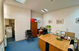 Apartament in vila de 5 camere, 131 mp, zona Parc Cismigiu