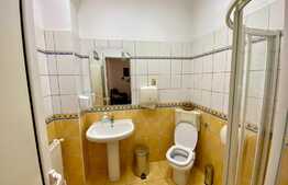 Apartament in vila de 5 camere, 131 mp, zona Parc Cismigiu