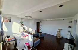 Apartament 3 camere, gura de metrou Constantin Brancusi