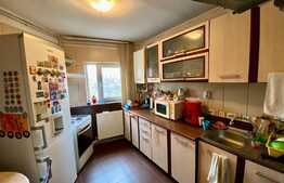 Apartament de 4 camere in vila interbelica, 102 mp, Parcul Carol