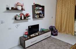 Apartament 2 camere mansarda