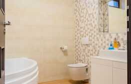 Casa moderna, foarte spatioasa, zona Domenii, P+1