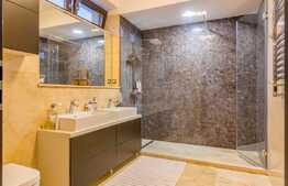 Casa moderna, foarte spatioasa, zona Domenii, P+1