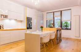 Casa moderna, foarte spatioasa, zona Domenii, P+1