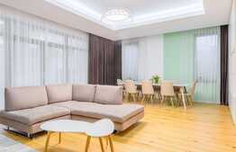 Casa moderna, foarte spatioasa, zona Domenii, P+1