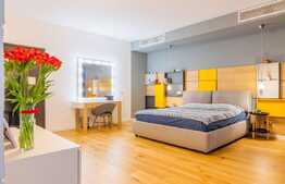 Casa moderna, foarte spatioasa, zona Domenii, P+1