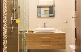 Casa moderna, foarte spatioasa, zona Domenii, P+1