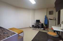 Garsonieră renovată, 23 mp, centrală proprie, zonă Ultracentrală