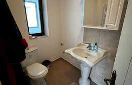 Vilă de 250 mp utili, mobilata, 104 mp teren, zona Cismigiu