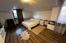 Vilă de 250 mp utili, mobilata, 104 mp teren, zona Cismigiu