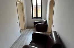 Vilă de 250 mp utili, mobilata, 104 mp teren, zona Cismigiu