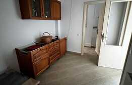 Vilă de 250 mp utili, mobilata, 104 mp teren, zona Cismigiu