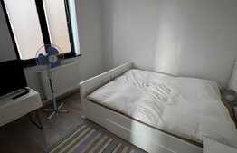 Vilă de 250 mp utili, mobilata, 104 mp teren, zona Cismigiu