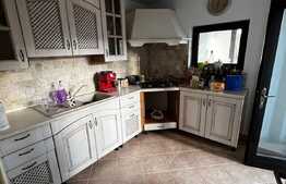 Vilă de 250 mp utili, mobilata, 104 mp teren, zona Cismigiu