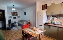 Apartament 3 camere in vila, 49 mp, terasa, Bucurestii Noi