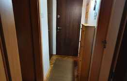 Apartament 2 camere în vilă, decomandat, renovat, zona Banu Manta
