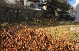 Investitie! O superba vila interbelica langa Guvernul Romaniei