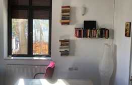 Investitie! O superba vila interbelica langa Guvernul Romaniei