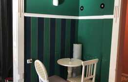 Investitie! O superba vila interbelica langa Guvernul Romaniei